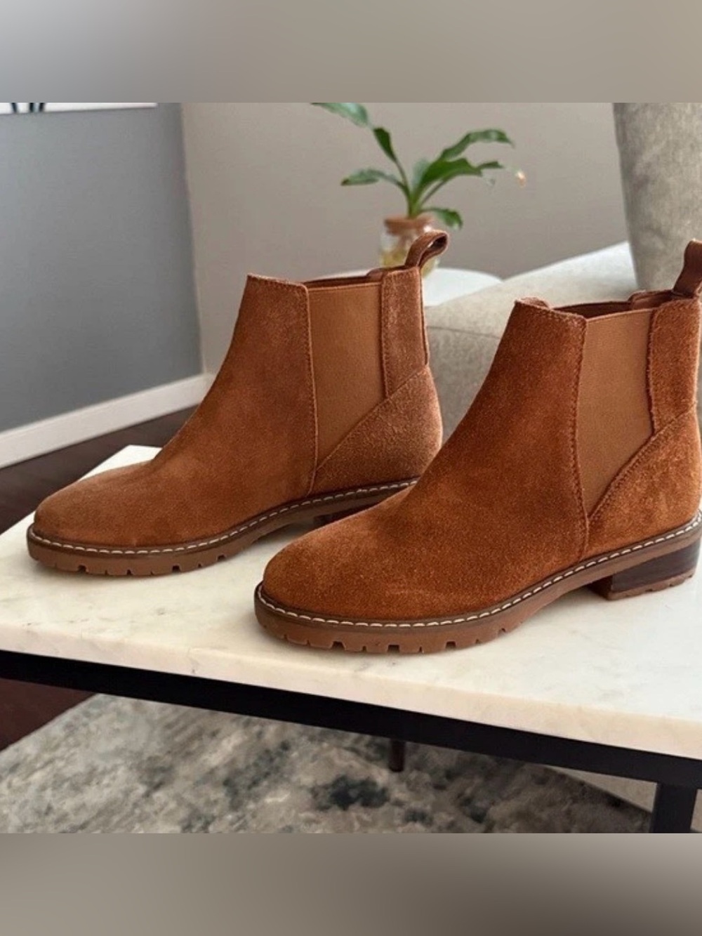 NWOB Steve Madden Leopold Chelsea Booties